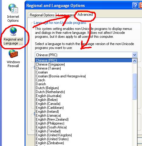 recognize chinese characters in windows xp